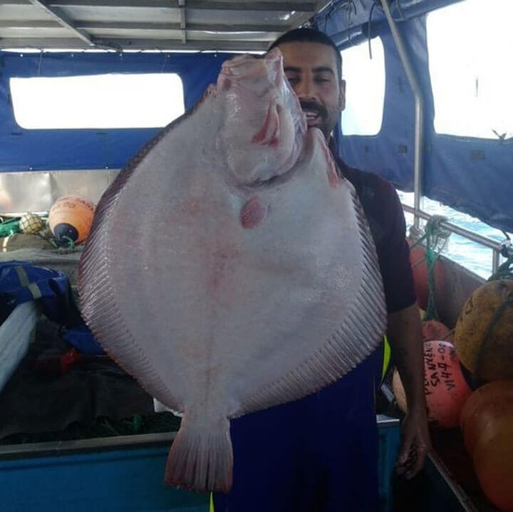 pescaturismogalicia.com fishing tours from Sanxenxo Galicia